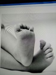 -毛毛虫儿童摄影馆