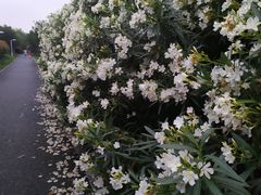 -圩墩遗址公园
