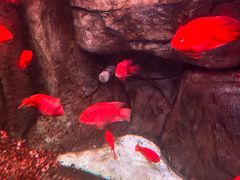 -泉城欧乐堡海洋极地世界