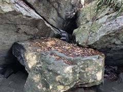 -石台牯牛降景区