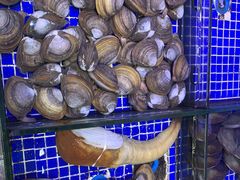 -青蓬蒸汽海鲜·深圳老字号·团建聚会(壹方城店)