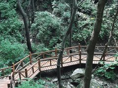 -大岭沟猕猴桃谷风景区