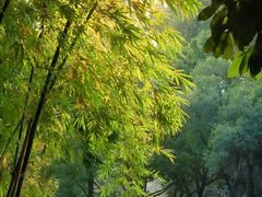 -人民公园(罗湖区)