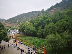 -延安杨家岭革命旧址