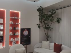 点击看大图 -WENDY·温迪皮肤管理