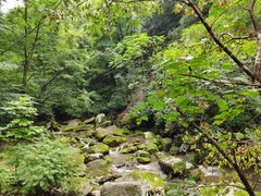 -香炉山国家森林公园