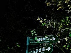 -紫金山山顶公园