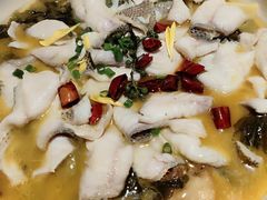 -YAFEE雅菲·粤菜·湘菜·融合菜(魏公村店)