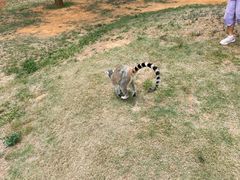 -秦皇岛野生动物园