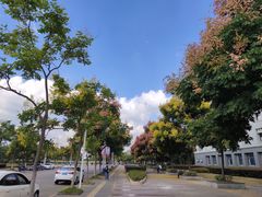 -东南大学(九龙湖校区)