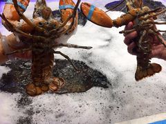 -盒马鲜生(大成店)