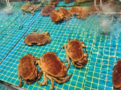 -三亚火车头万人海鲜广场