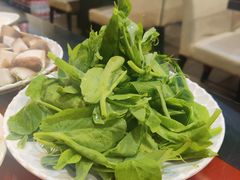 -四川简阳羊肉汤火锅(望花路西里店)