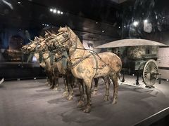 -秦始皇帝陵博物院-丽山园