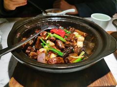 -大榕树下顺德菜(融创茂店)
