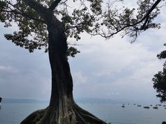 -抚仙湖禄充风景区