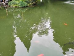 -杭州植物园