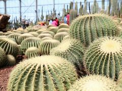 -南通洲际绿博园