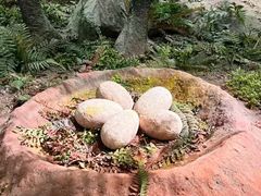 -湖南省地质博物馆