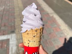 -蜜雪冰城(四惠东店)