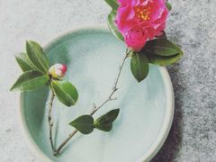 -八哥美术·成人美术画室(总校区)