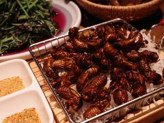 -鸽子窝(青塔店)