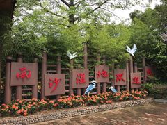-大湾区中央湿地公园