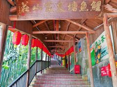 -鲤鱼塘农家山庄