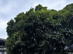 -王阳明故居