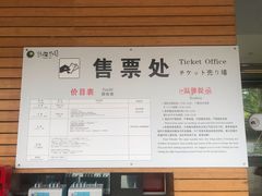 -都江堰中华大熊猫苑