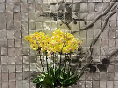 -广州德安丽舍凯宾斯基酒店