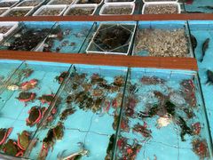 水产区-景好海鲜餐厅(大鹏必选旅游店)