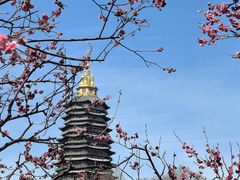 -红梅公园