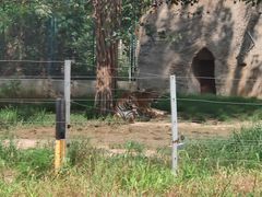 -秦皇岛野生动物园