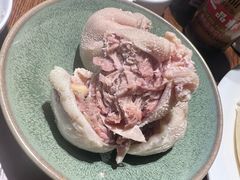 -蒙古苍狼蒙餐