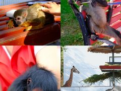 -水上乐园·欢乐世界