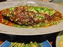 香辣炝锅鱼-树厨贵州菜(大十字店)