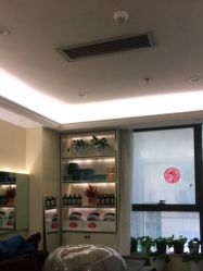 -碧莲盛·不剃发植发