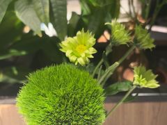 -半秋山西餐厅(巴南万达广场店)