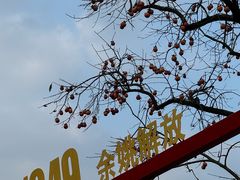 -丹山赤水风景名胜区