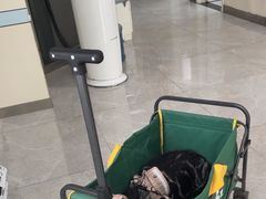 -中农国际动物医院24小时·猫科·骨科·急重症中心