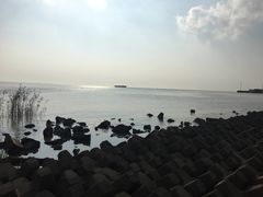 -瀛洲公园
