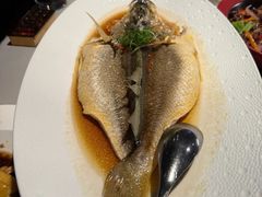 -芙蓉堂(武汉天地店)