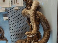 -浙江自然博物院(杭州馆)
