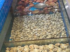 -集杰尚品海鲜烤肉自助餐厅(乳山振华店)