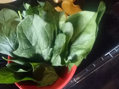 -陈阿婆重庆绿色鱼火锅