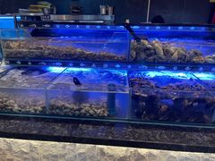 -星伦多自助料理·涮烤一体(奉贤龙湖天街店)