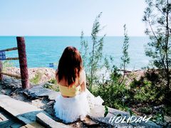 -广东惠东海龟国家级自然保护区