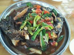 啤酒剑骨鱼-生态苑农庄(十里画廊遇龙河店)