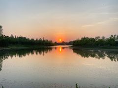 -东郊湿地公园